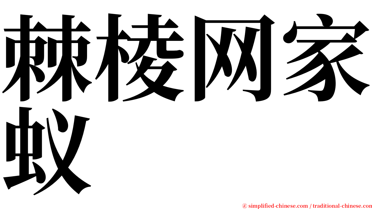 棘棱网家蚁 serif font