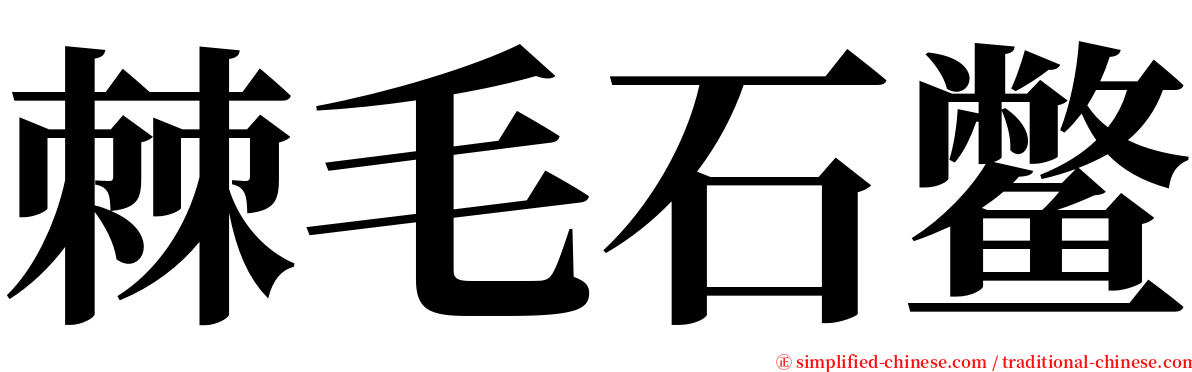棘毛石鳖 serif font
