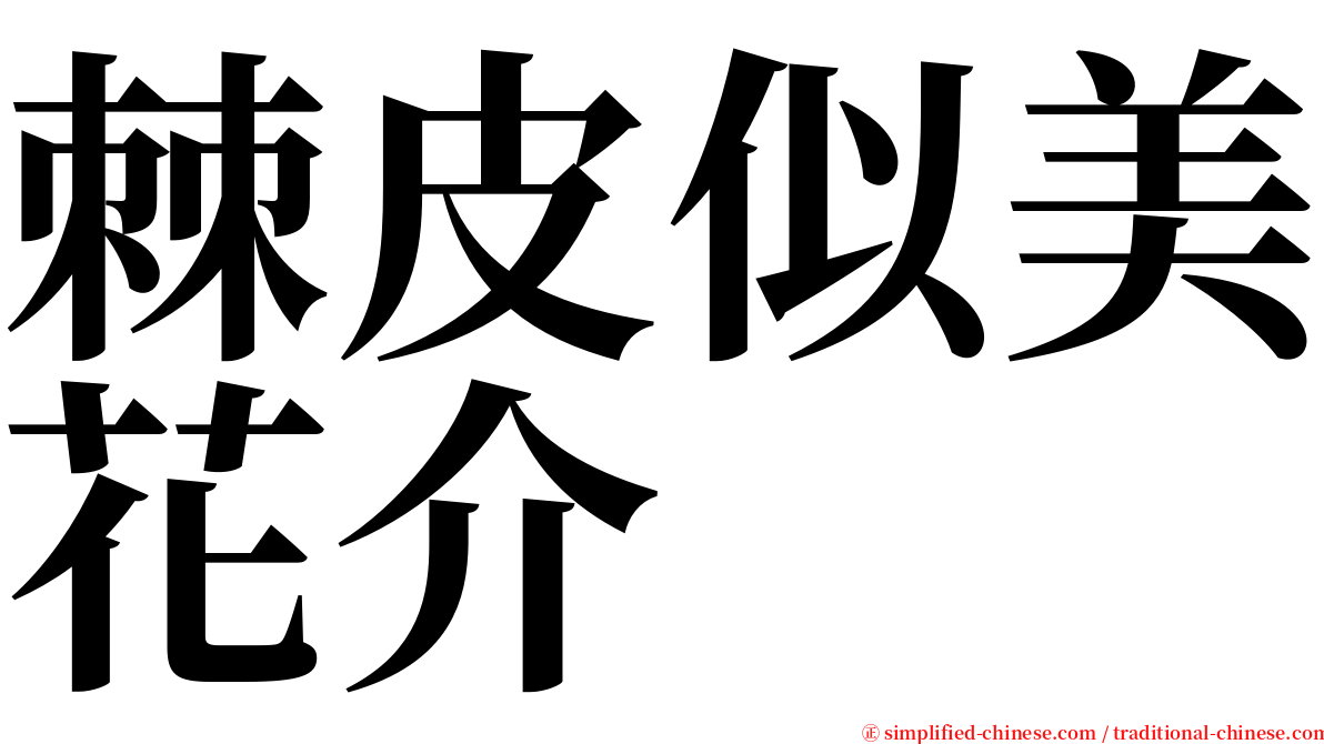 棘皮似美花介 serif font