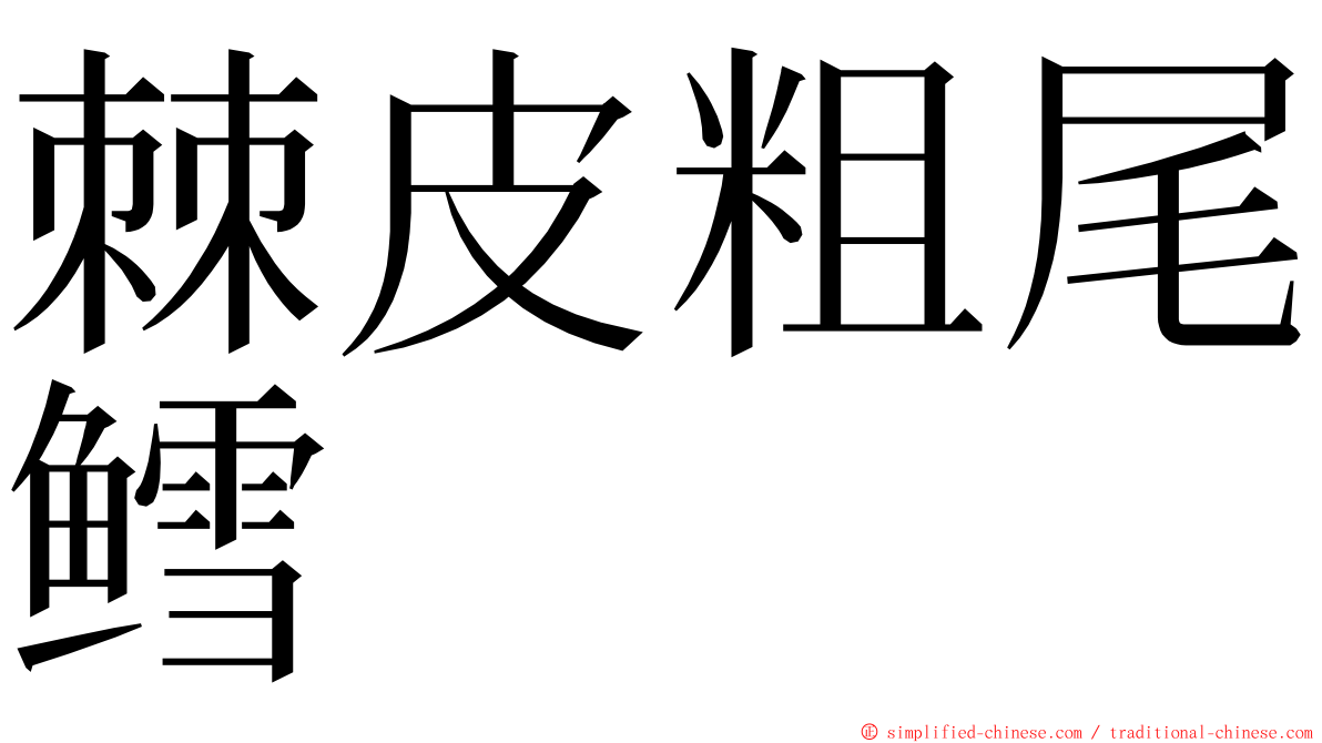 棘皮粗尾鳕 ming font