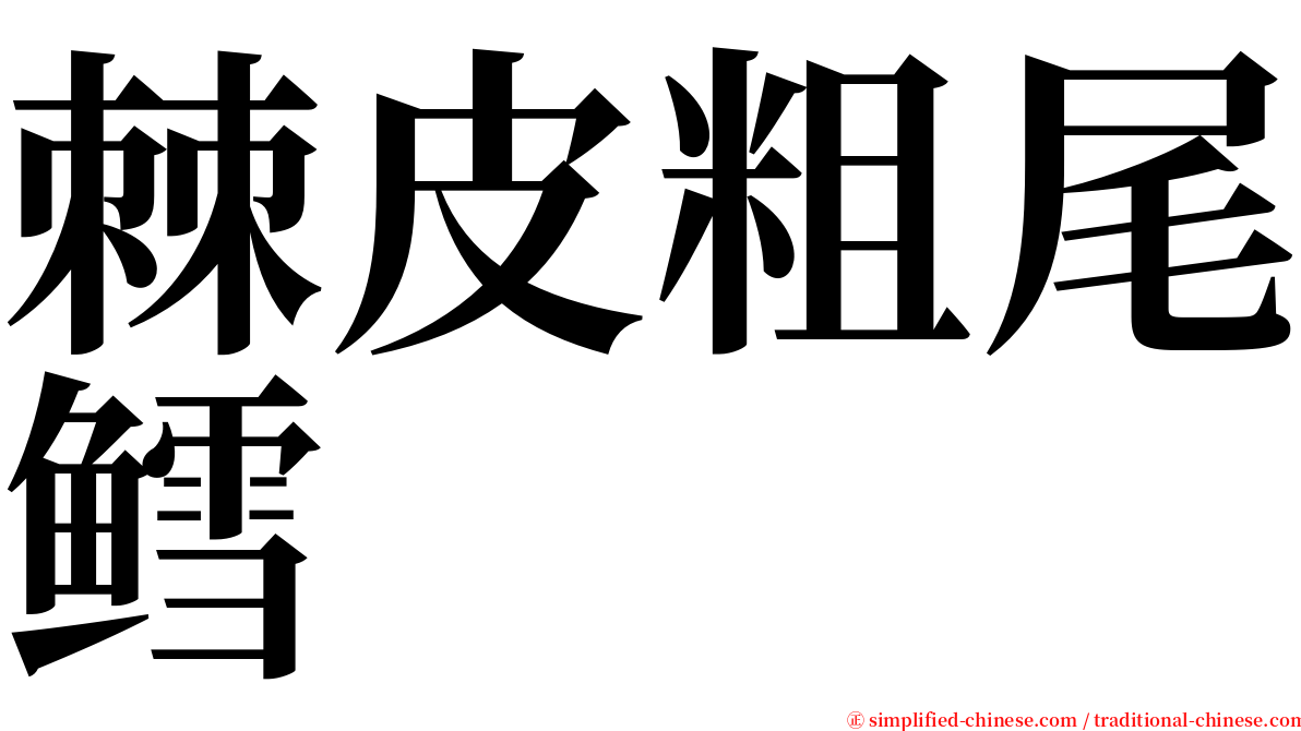 棘皮粗尾鳕 serif font