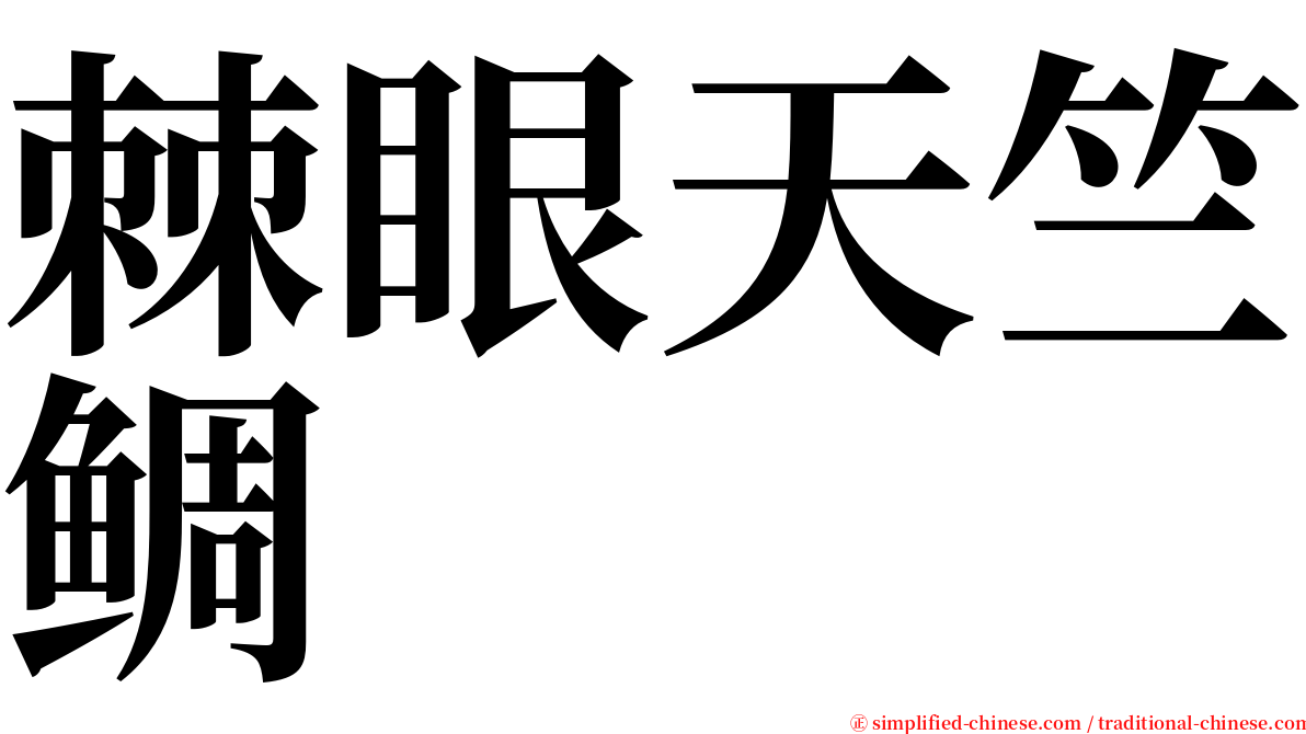 棘眼天竺鲷 serif font