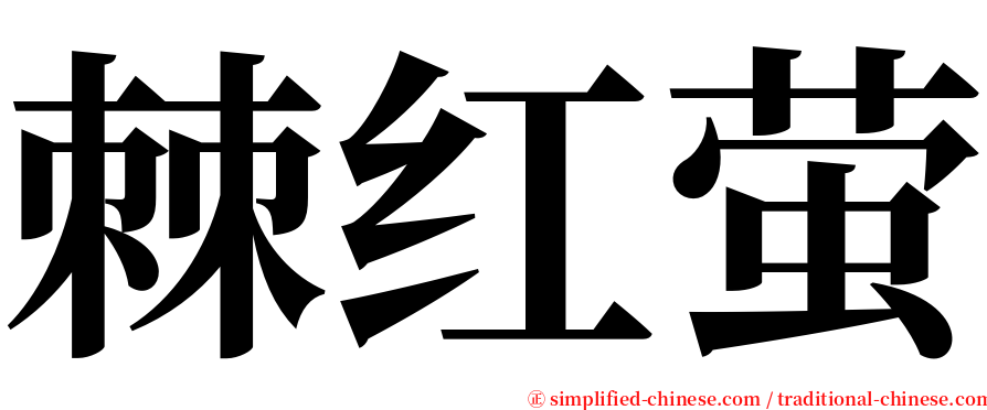 棘红萤 serif font