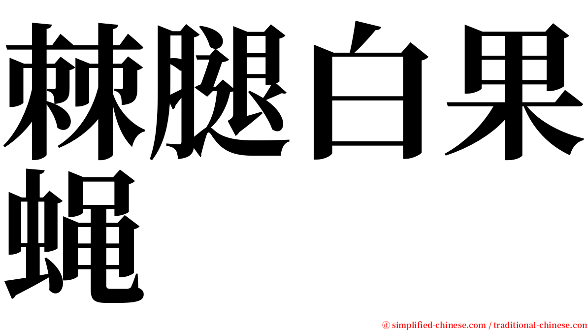 棘腿白果蝇 serif font