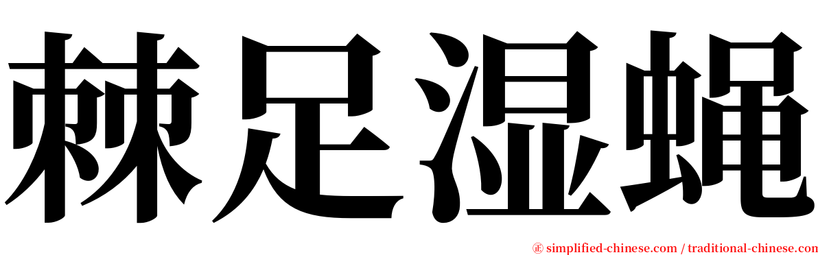 棘足湿蝇 serif font