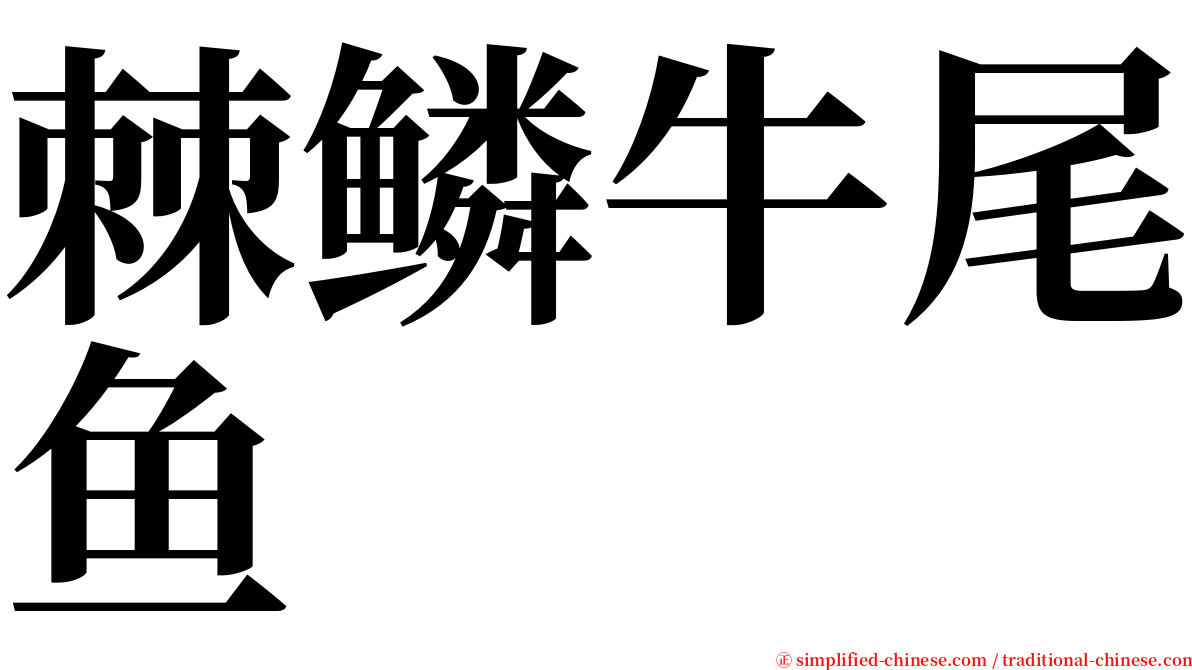 棘鳞牛尾鱼 serif font