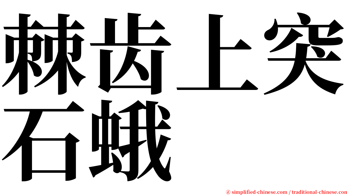 棘齿上突石蛾 serif font