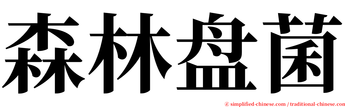 森林盘菌 serif font