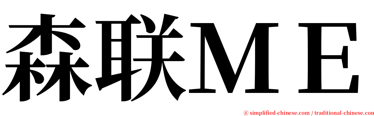 森联ＭＥ serif font