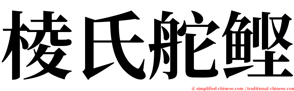 棱氏舵鲣 serif font