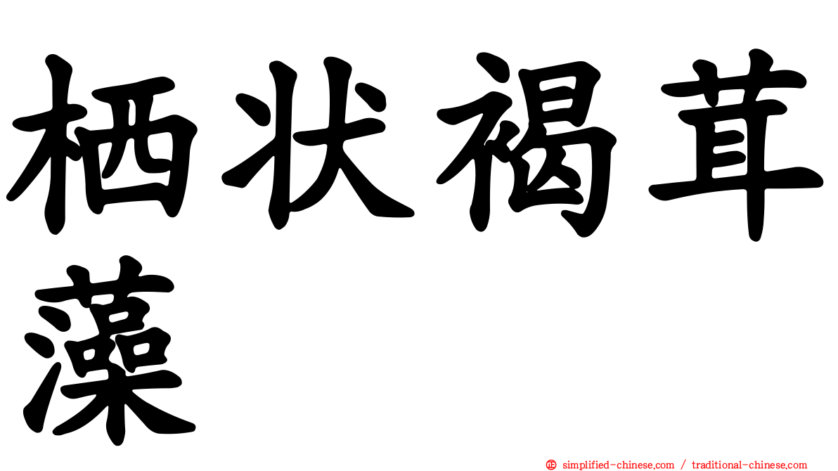 栖状褐茸藻