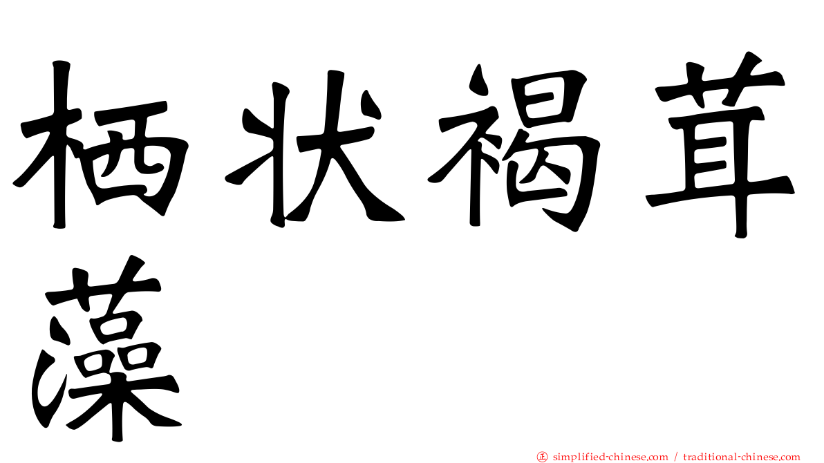 栖状褐茸藻