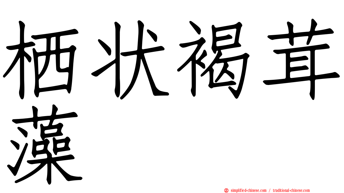 栖状褐茸藻