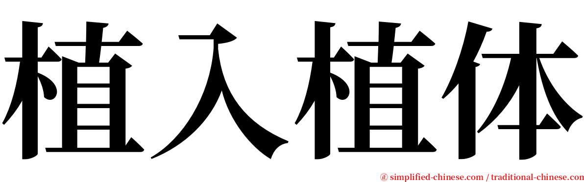 植入植体 serif font