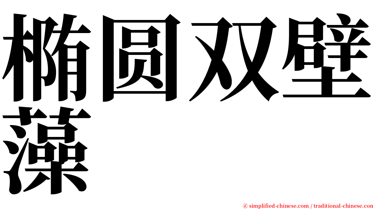 椭圆双壁藻 serif font