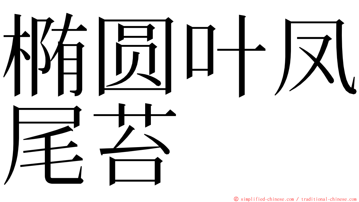 椭圆叶凤尾苔 ming font