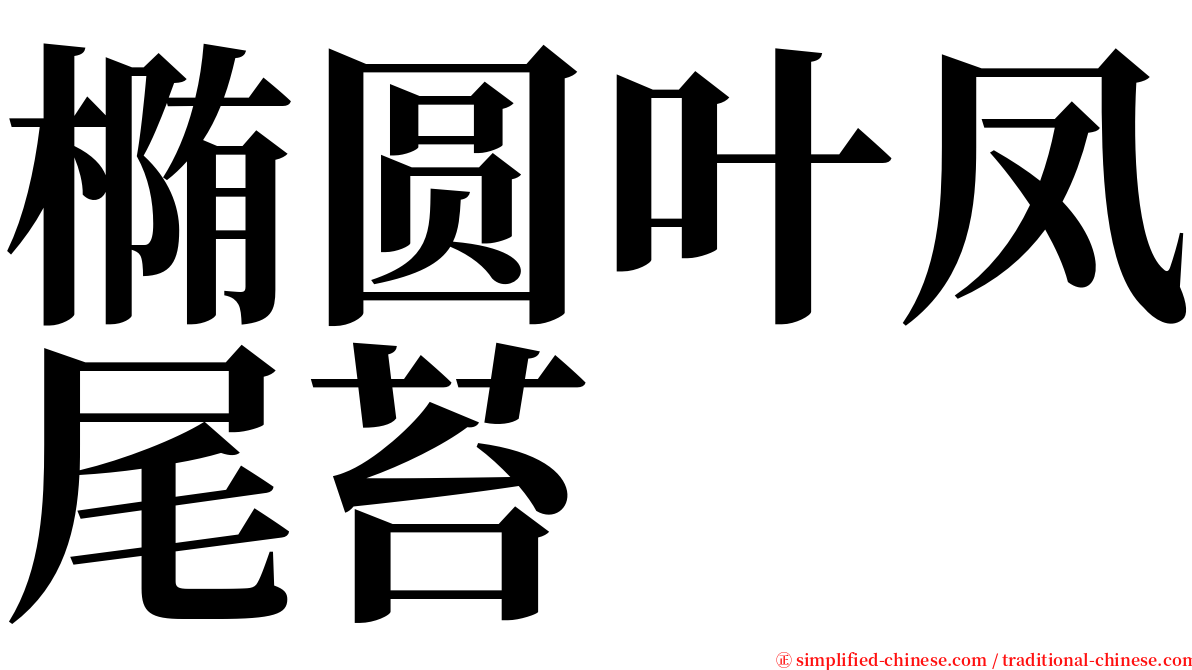 椭圆叶凤尾苔 serif font