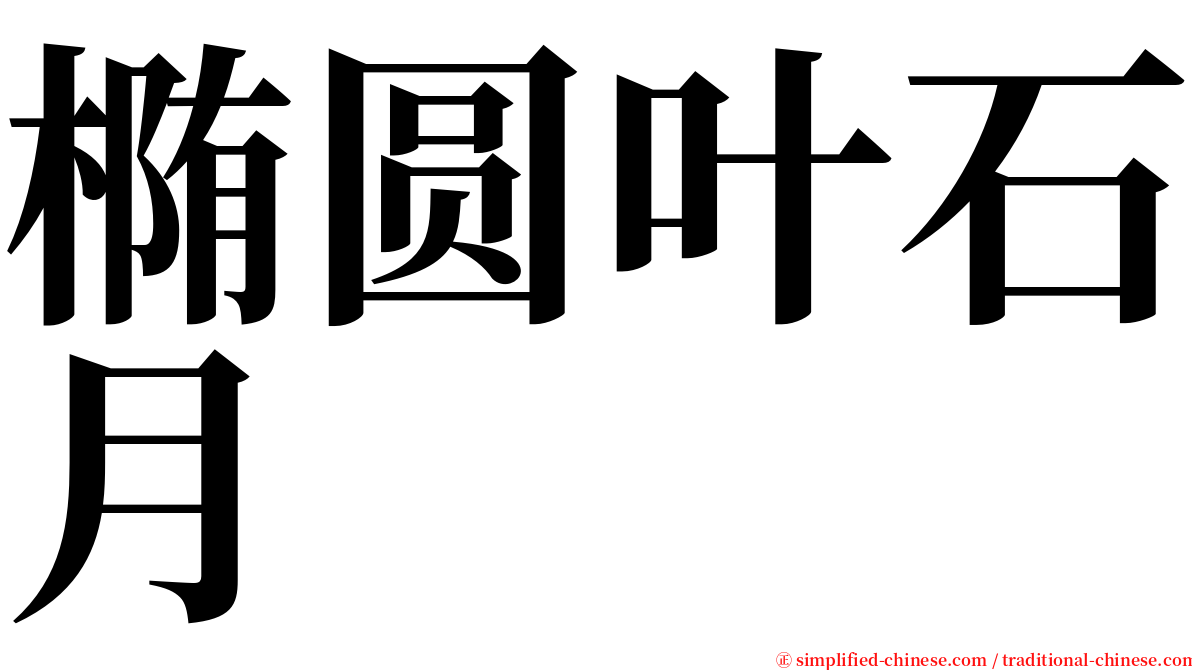 椭圆叶石月 serif font