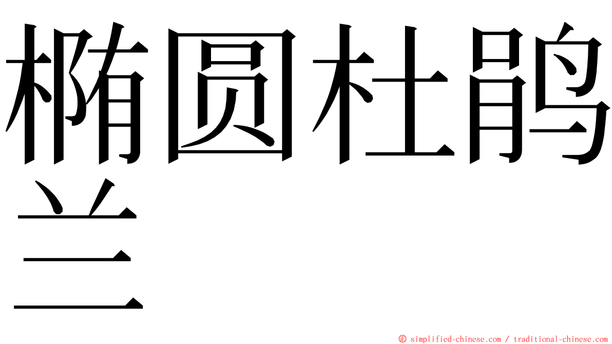 椭圆杜鹃兰 ming font
