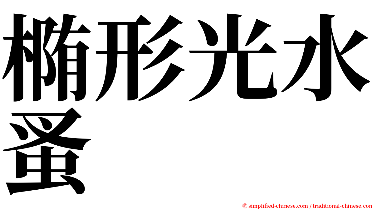 椭形光水蚤 serif font