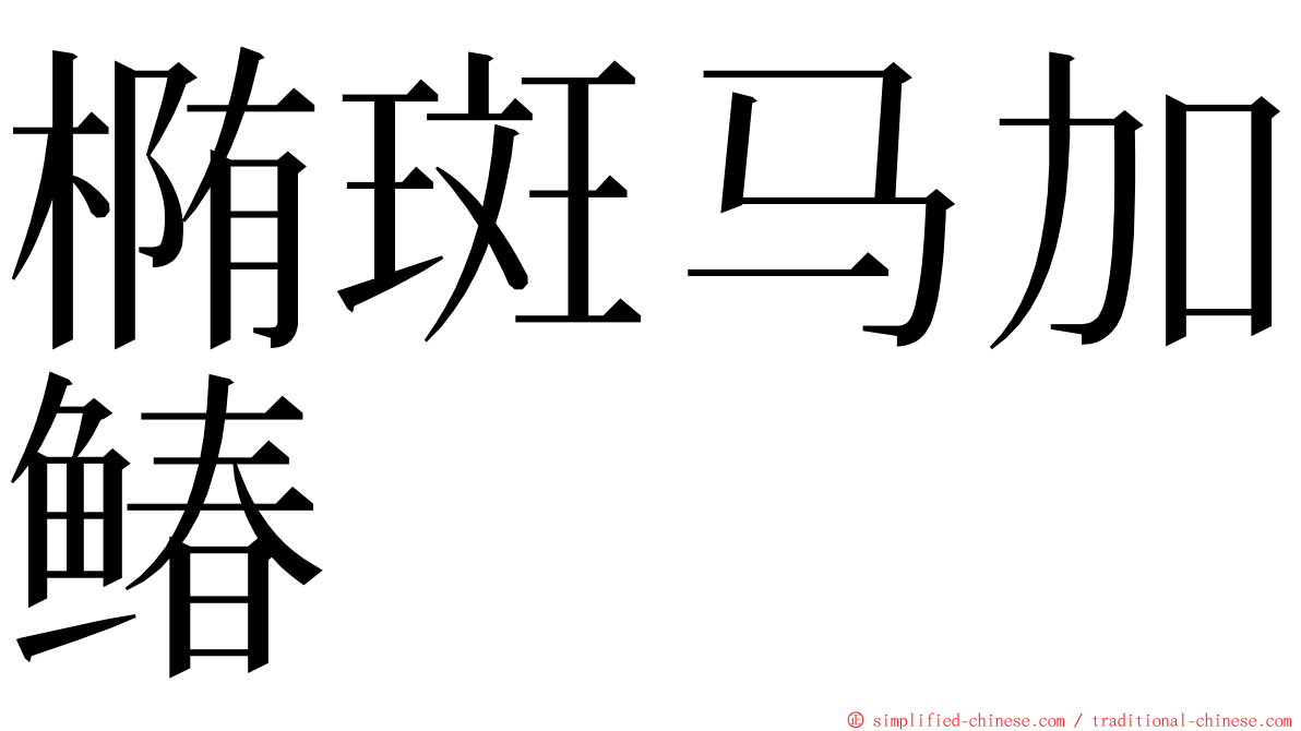 椭斑马加䲠 ming font