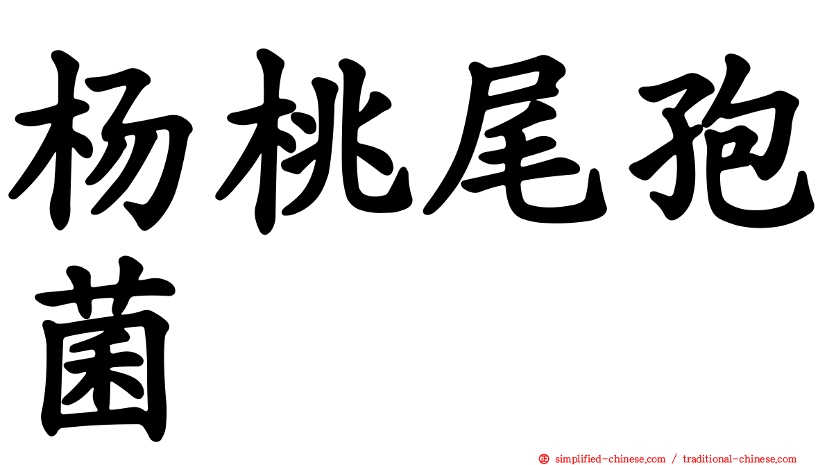 杨桃尾孢菌