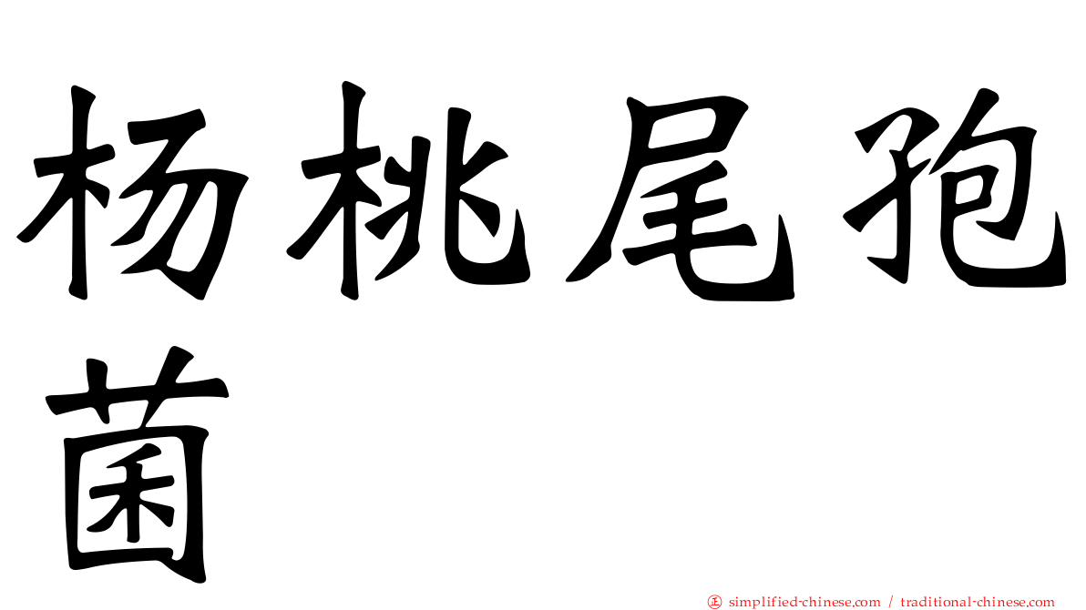 杨桃尾孢菌