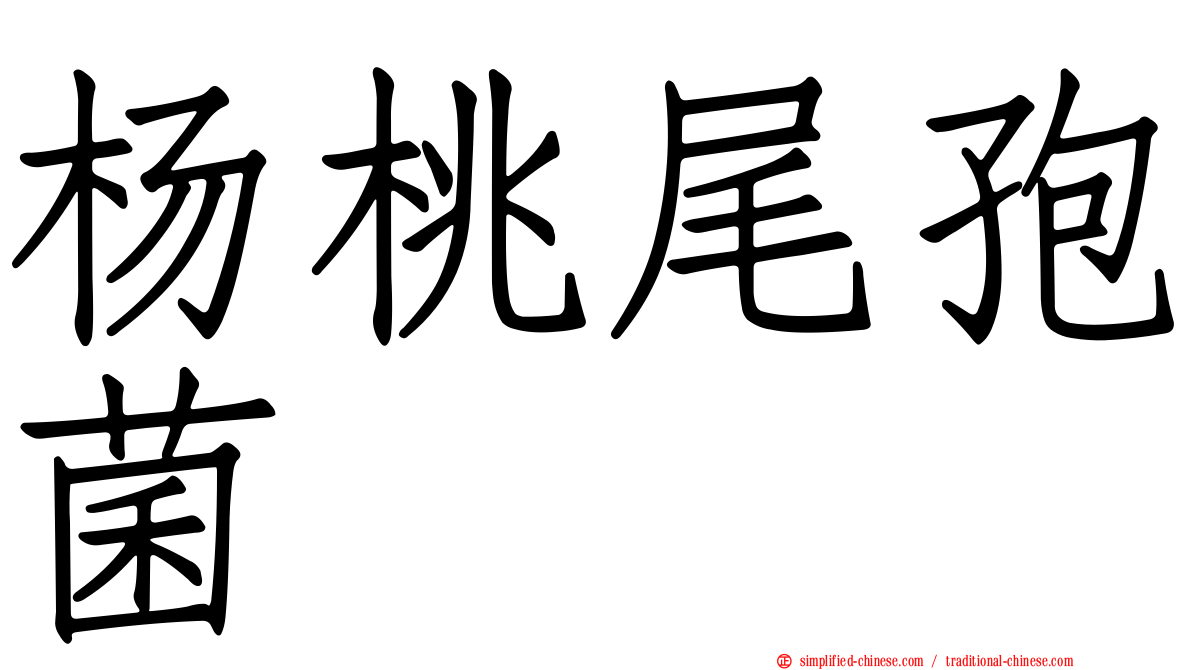 杨桃尾孢菌