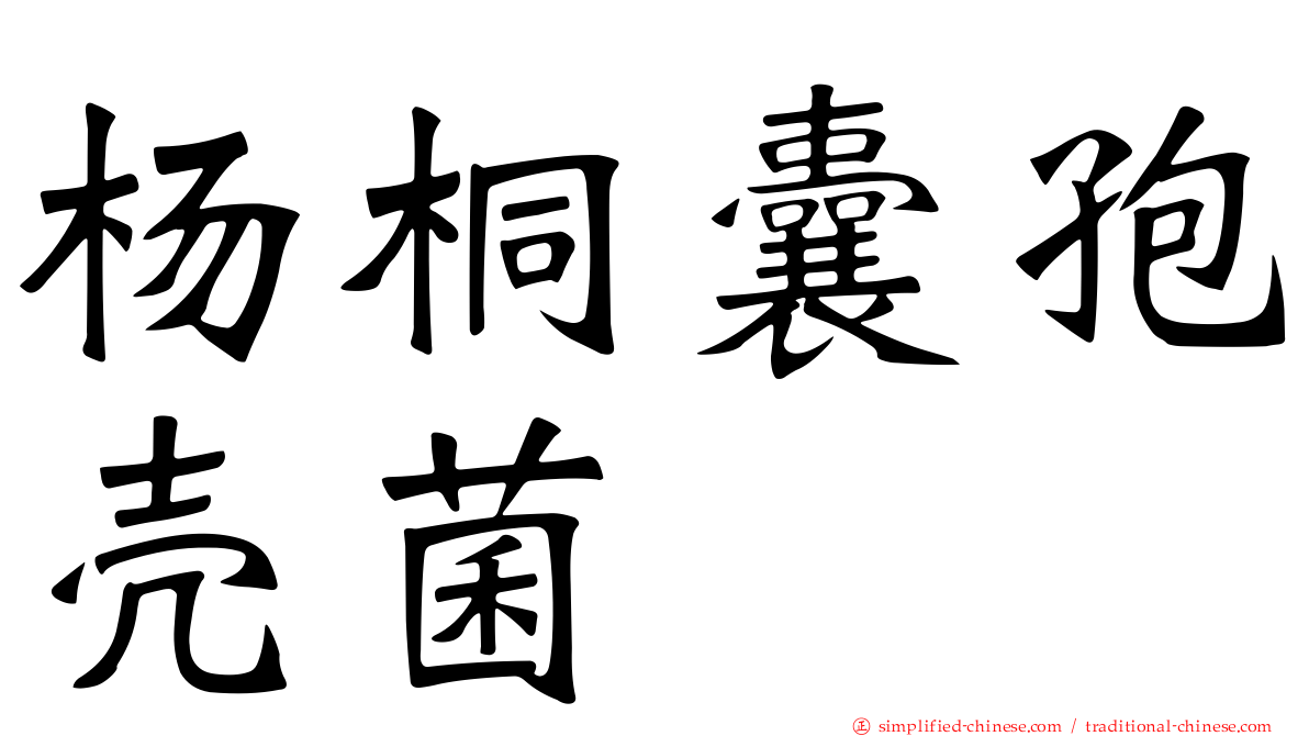 杨桐囊孢壳菌