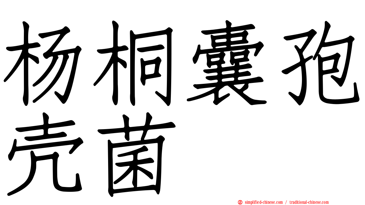 杨桐囊孢壳菌
