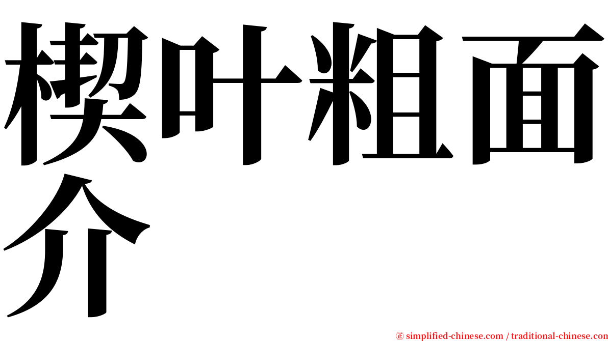 楔叶粗面介 serif font