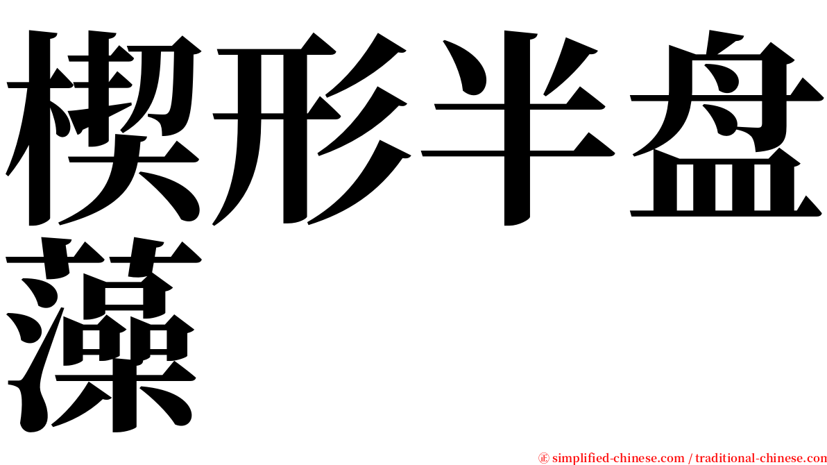 楔形半盘藻 serif font