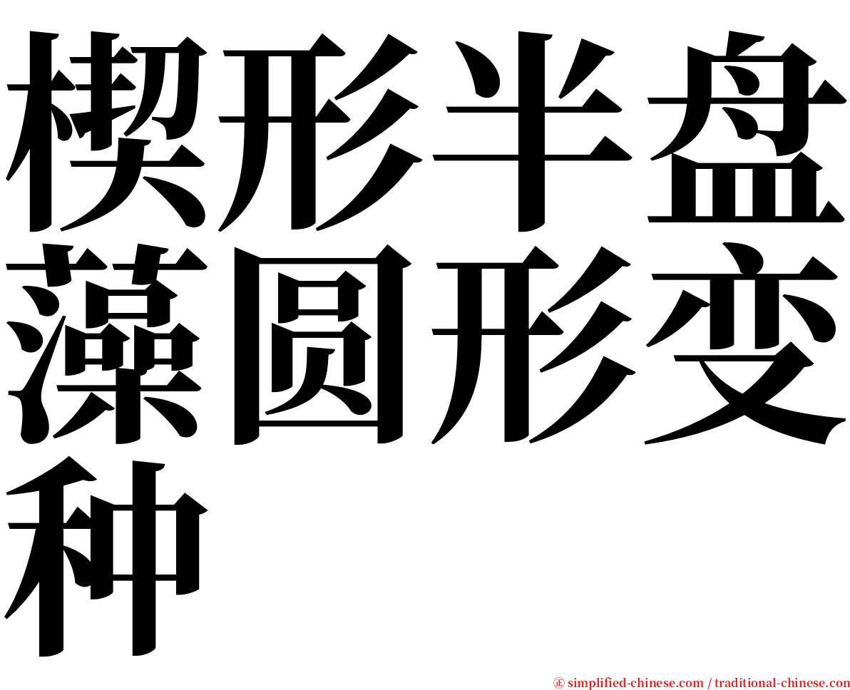 楔形半盘藻圆形变种 serif font