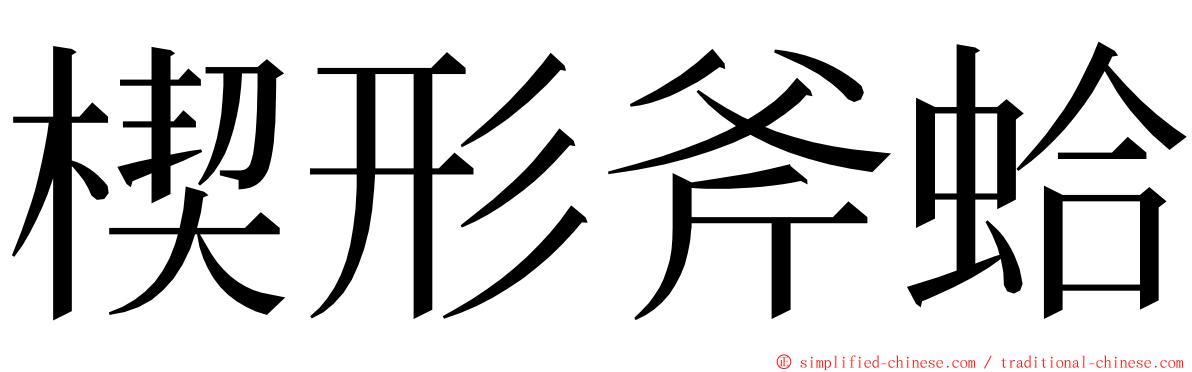 楔形斧蛤 ming font