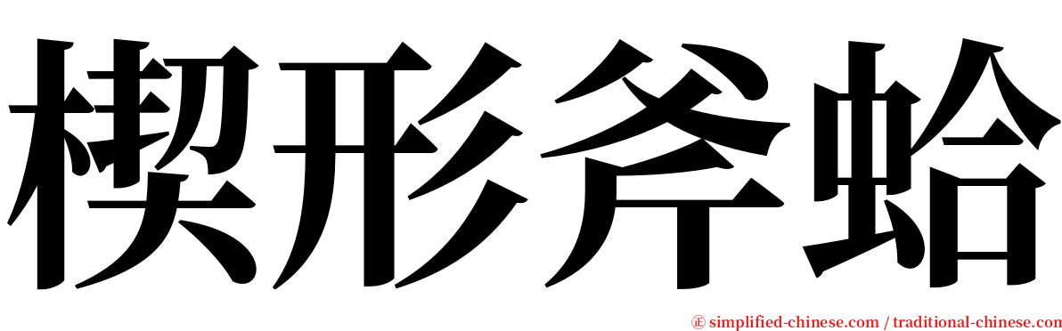 楔形斧蛤 serif font