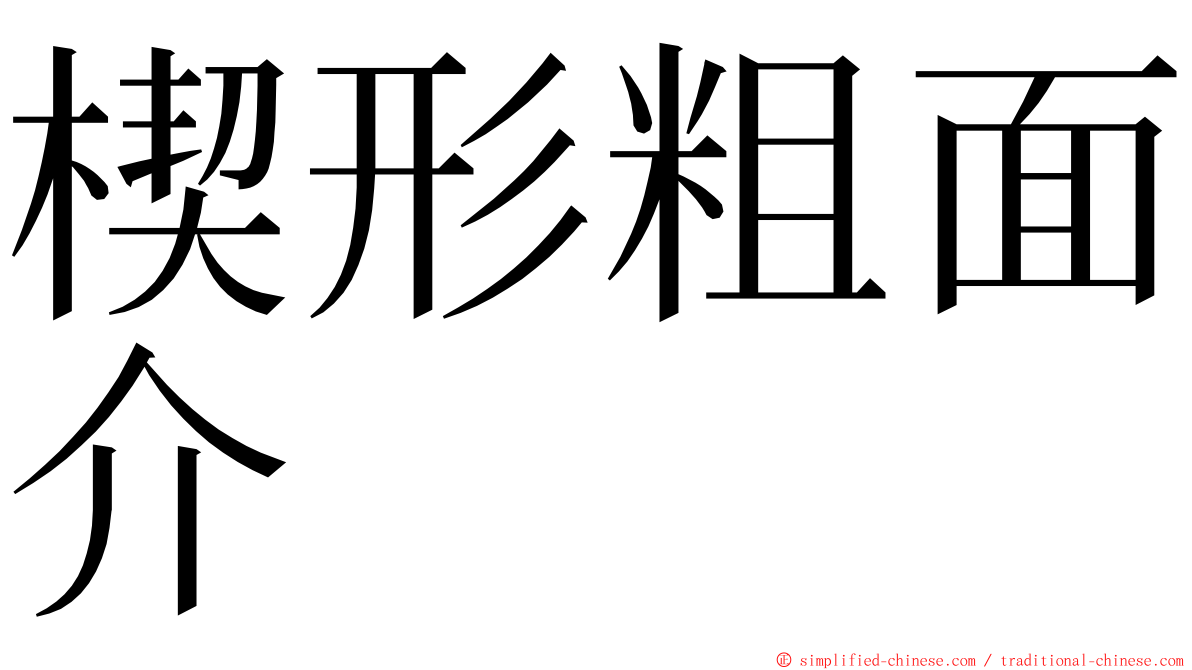 楔形粗面介 ming font