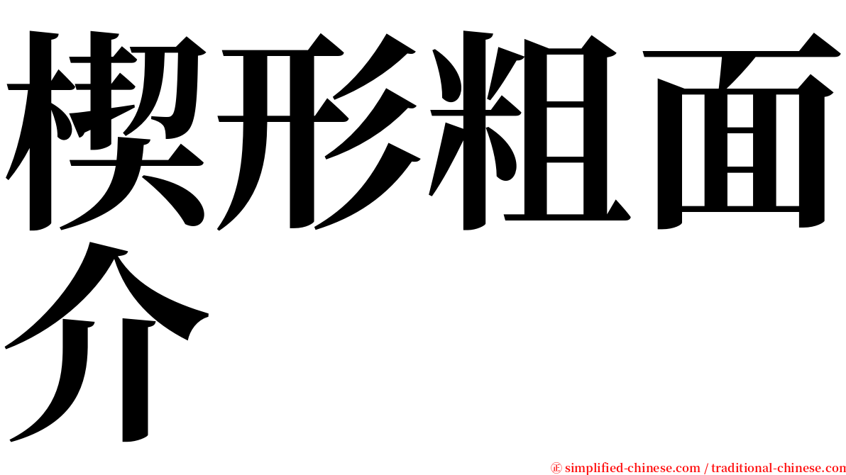 楔形粗面介 serif font