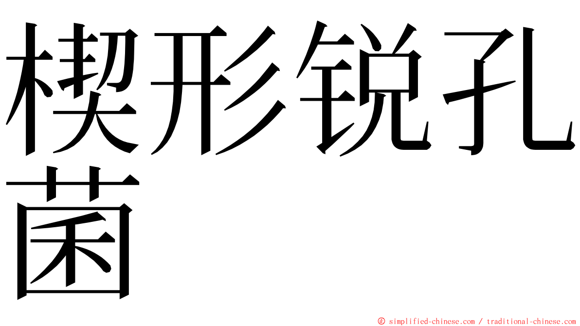 楔形锐孔菌 ming font