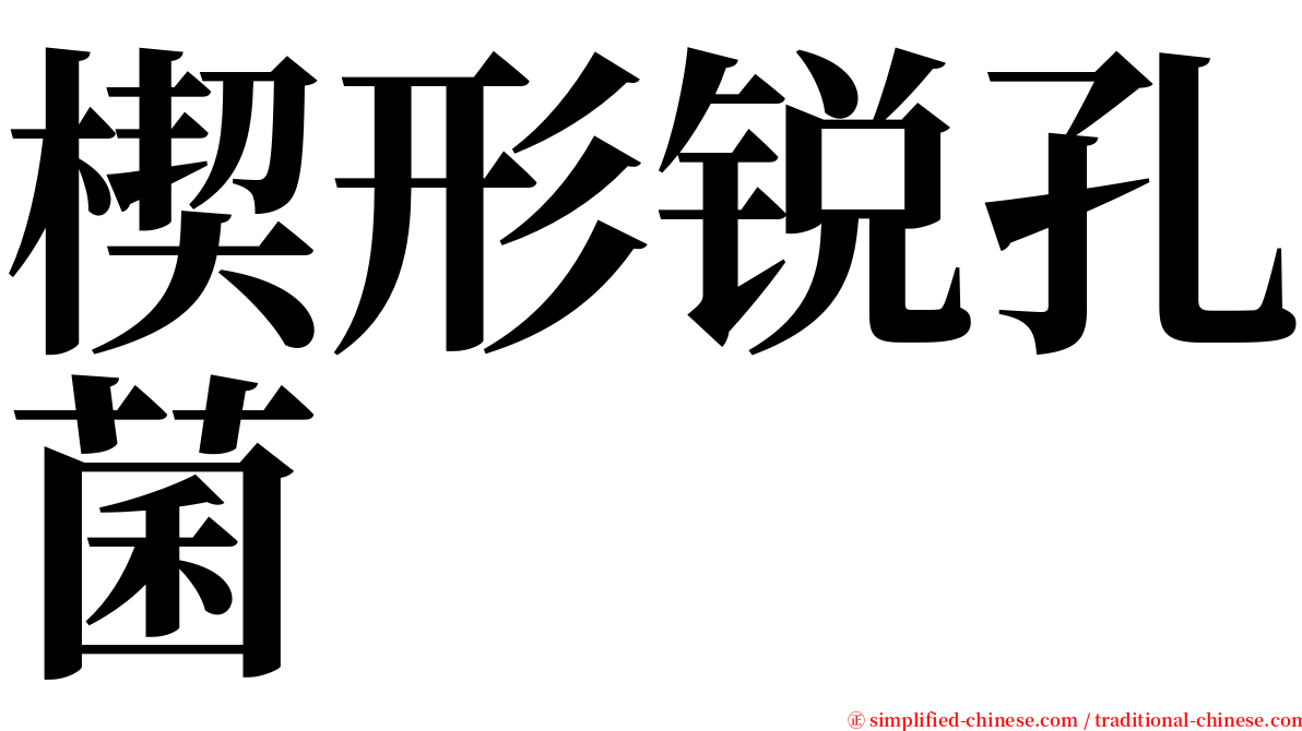 楔形锐孔菌 serif font