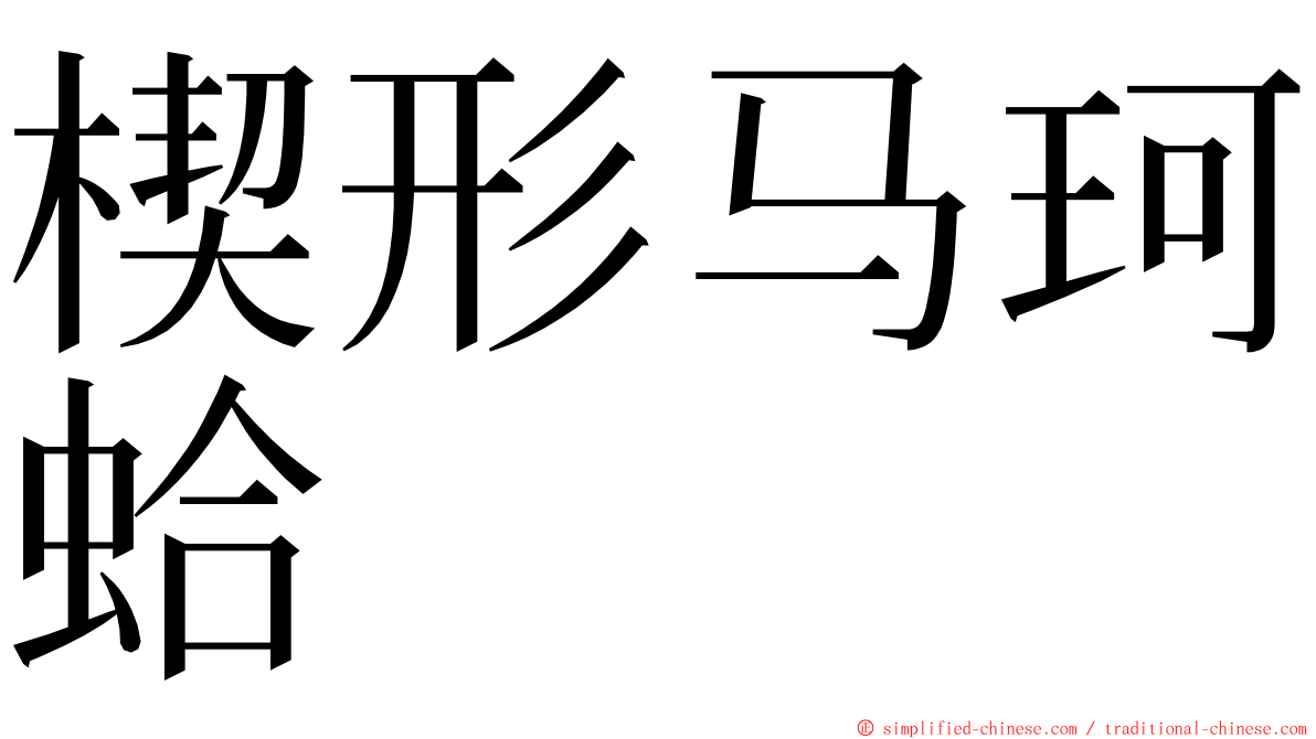 楔形马珂蛤 ming font