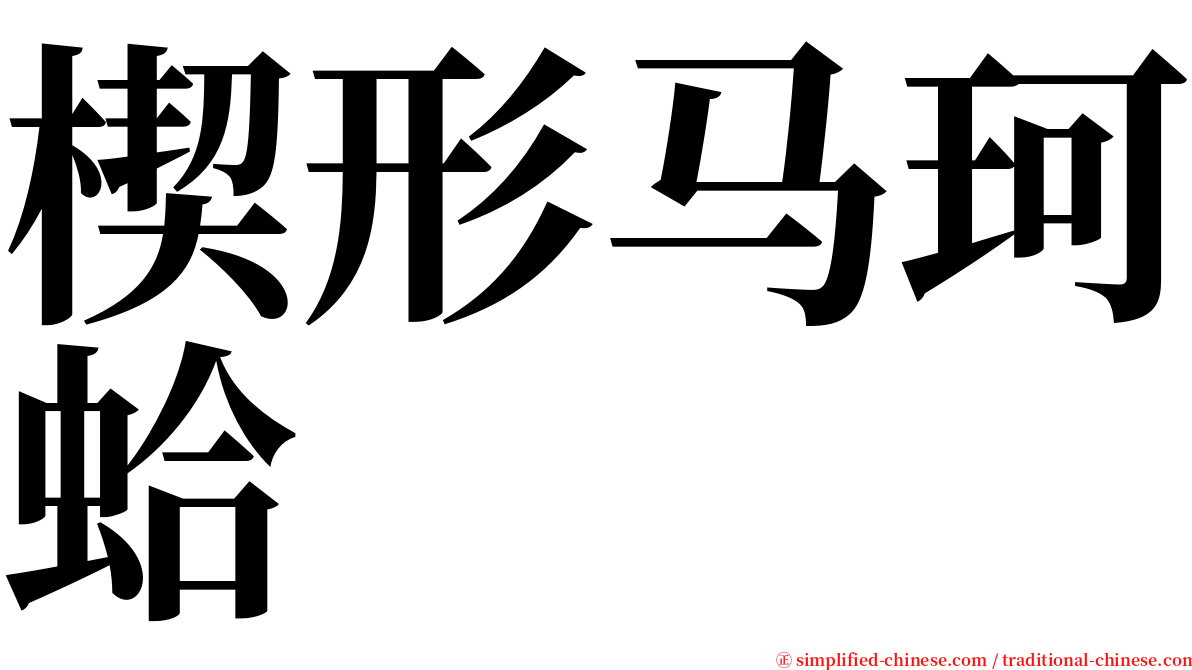 楔形马珂蛤 serif font