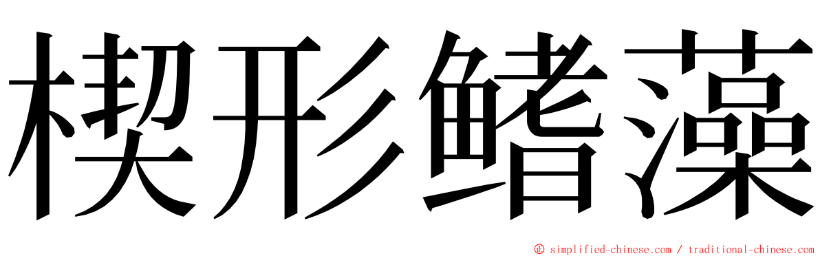 楔形鳍藻 ming font