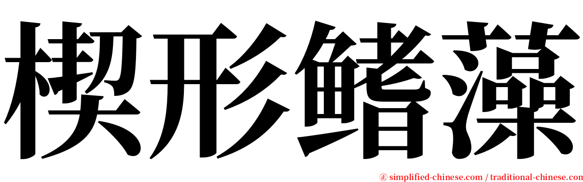 楔形鳍藻 serif font