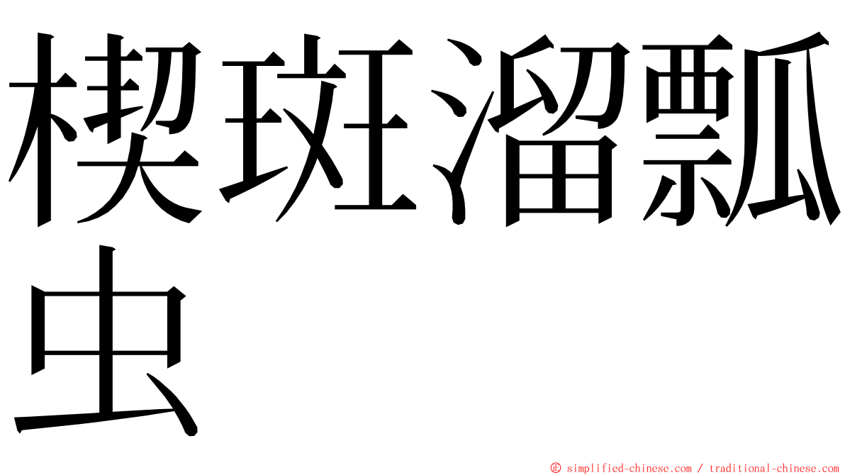 楔斑溜瓢虫 ming font