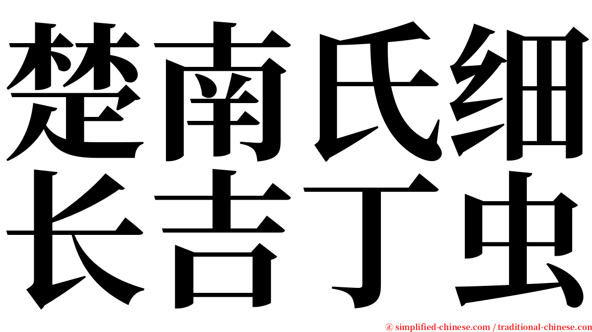 楚南氏细长吉丁虫 serif font