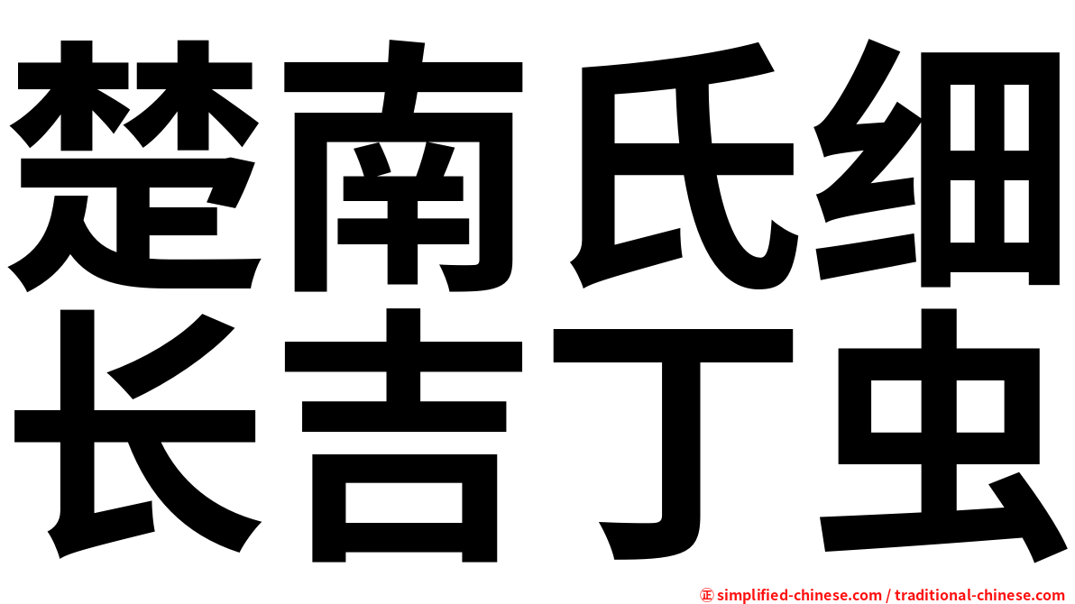 楚南氏细长吉丁虫