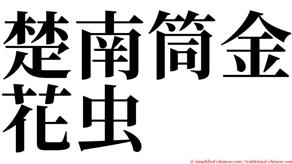 楚南筒金花虫 serif font