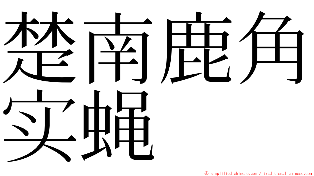 楚南鹿角实蝇 ming font