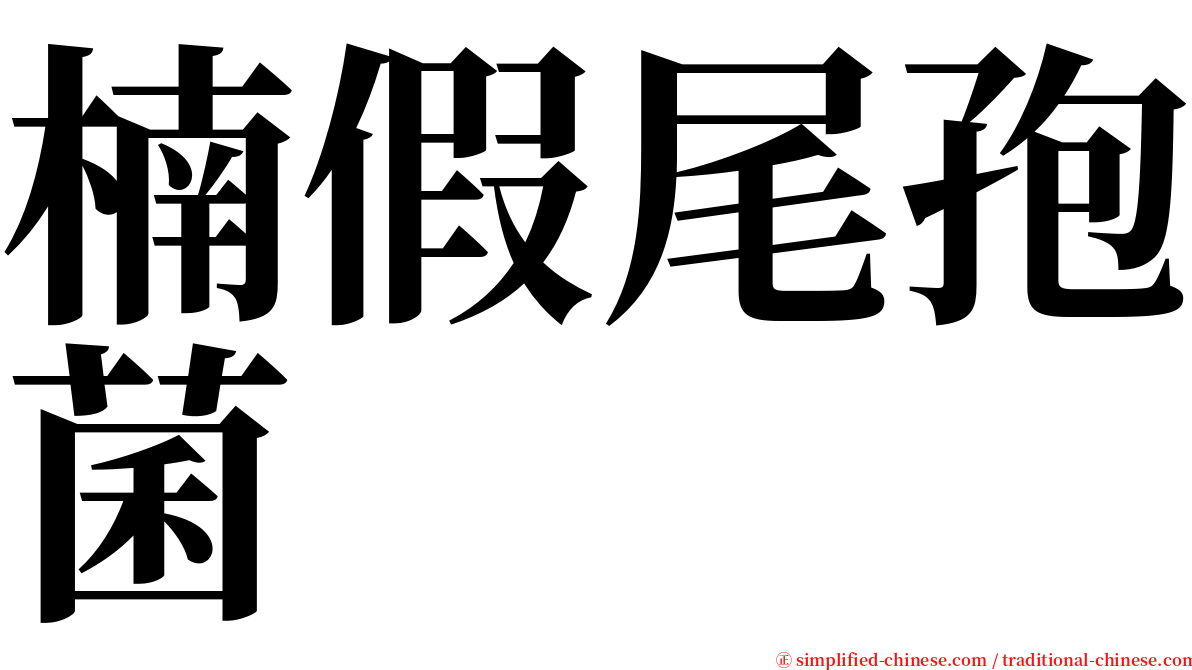 楠假尾孢菌 serif font