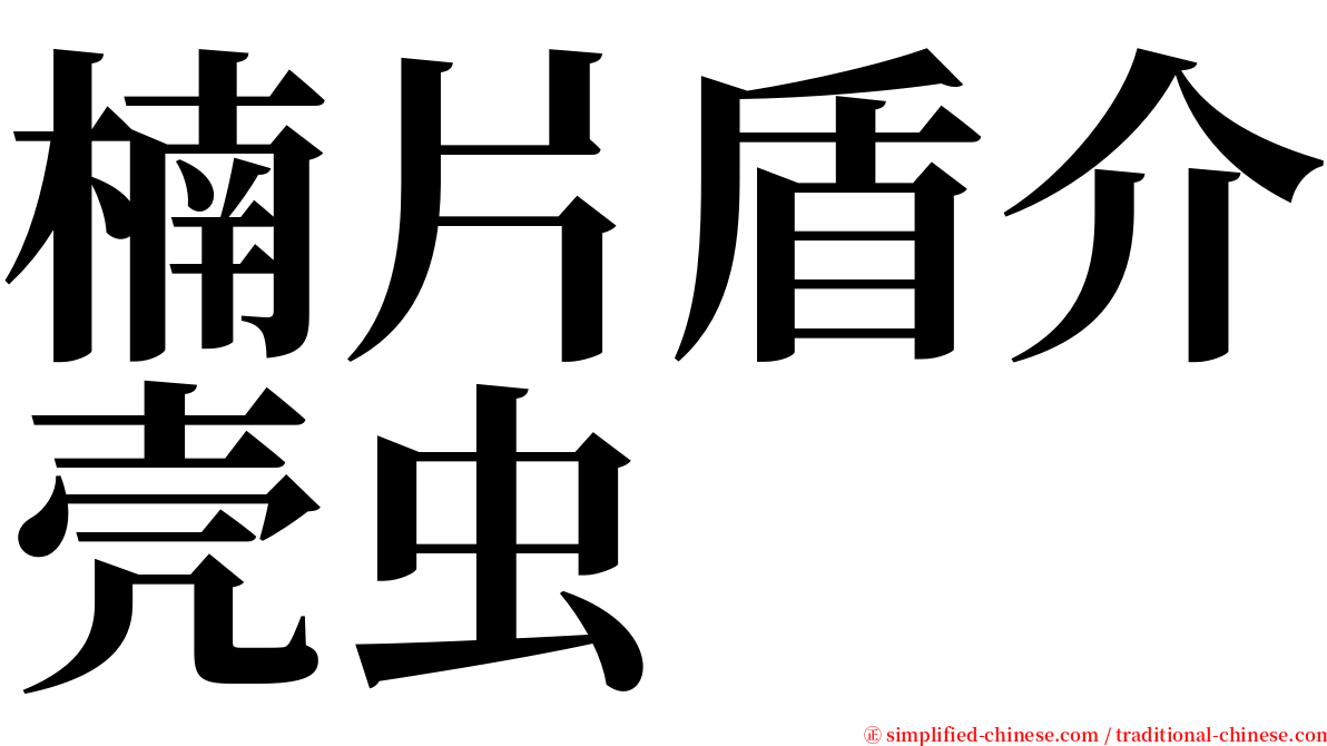 楠片盾介壳虫 serif font